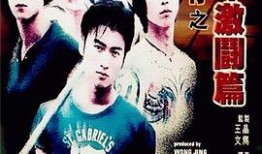 少年激斗篇在线观看,热血青春，激战正酣